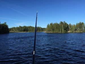Angeln im Kanu im Saimaa_Kanutour in Finnland