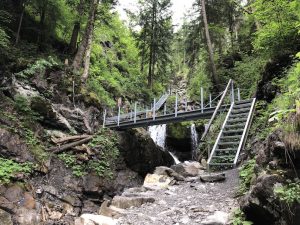 Tobelweg zur Gaisalpe _Stahlbrücke