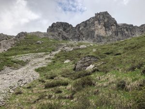 Krumbacher Höhenweg zur Mindelheimer Hütte_Weg zur Roßgundscharte